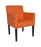 Armchair Austin, upholstery Fly 2218 order